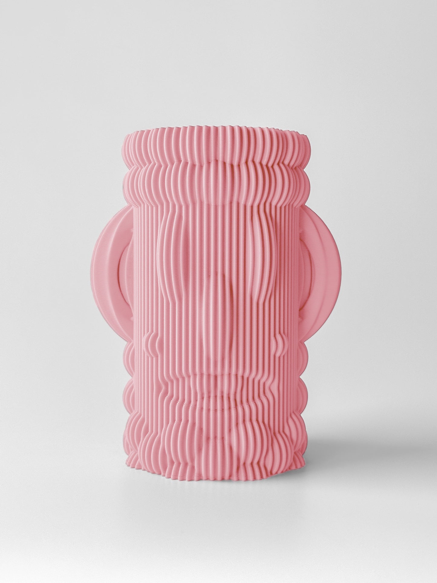 Two Faced Vase
