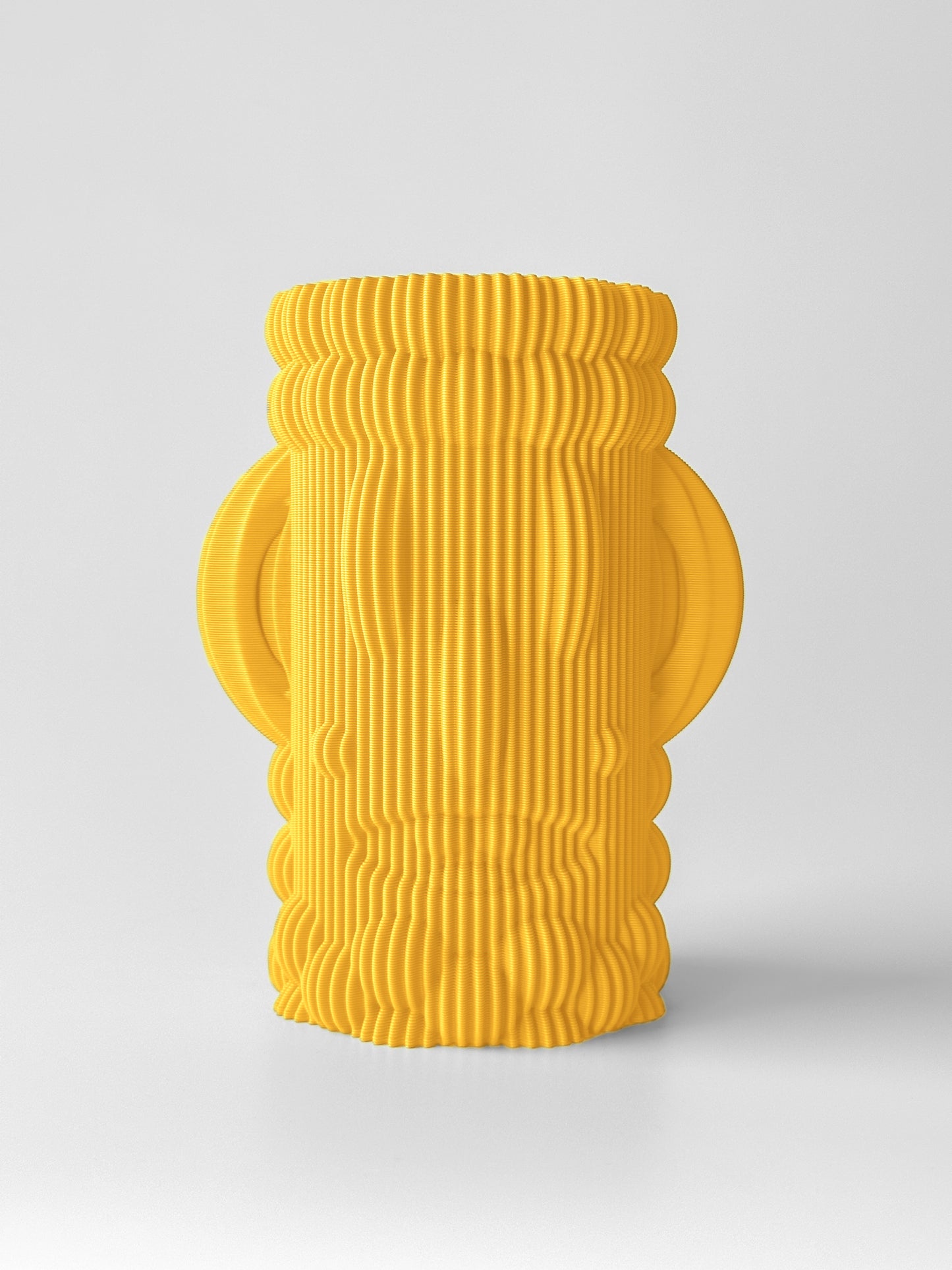 Two Faced Vase