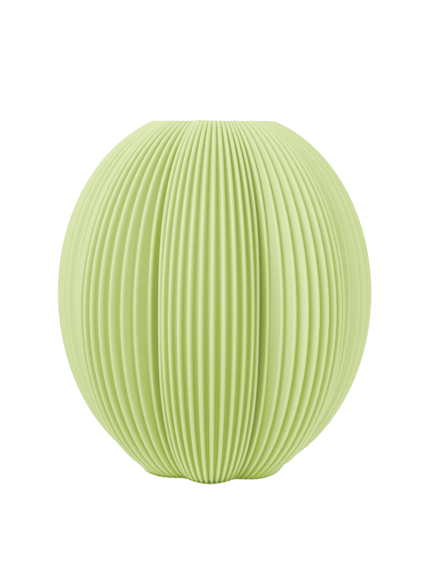 Cactus Vase