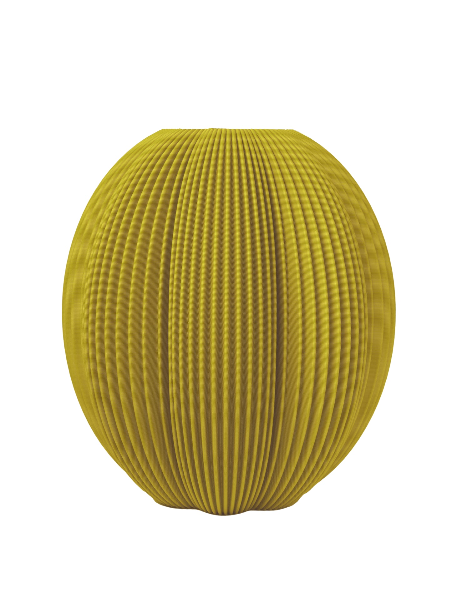 Cactus Vase