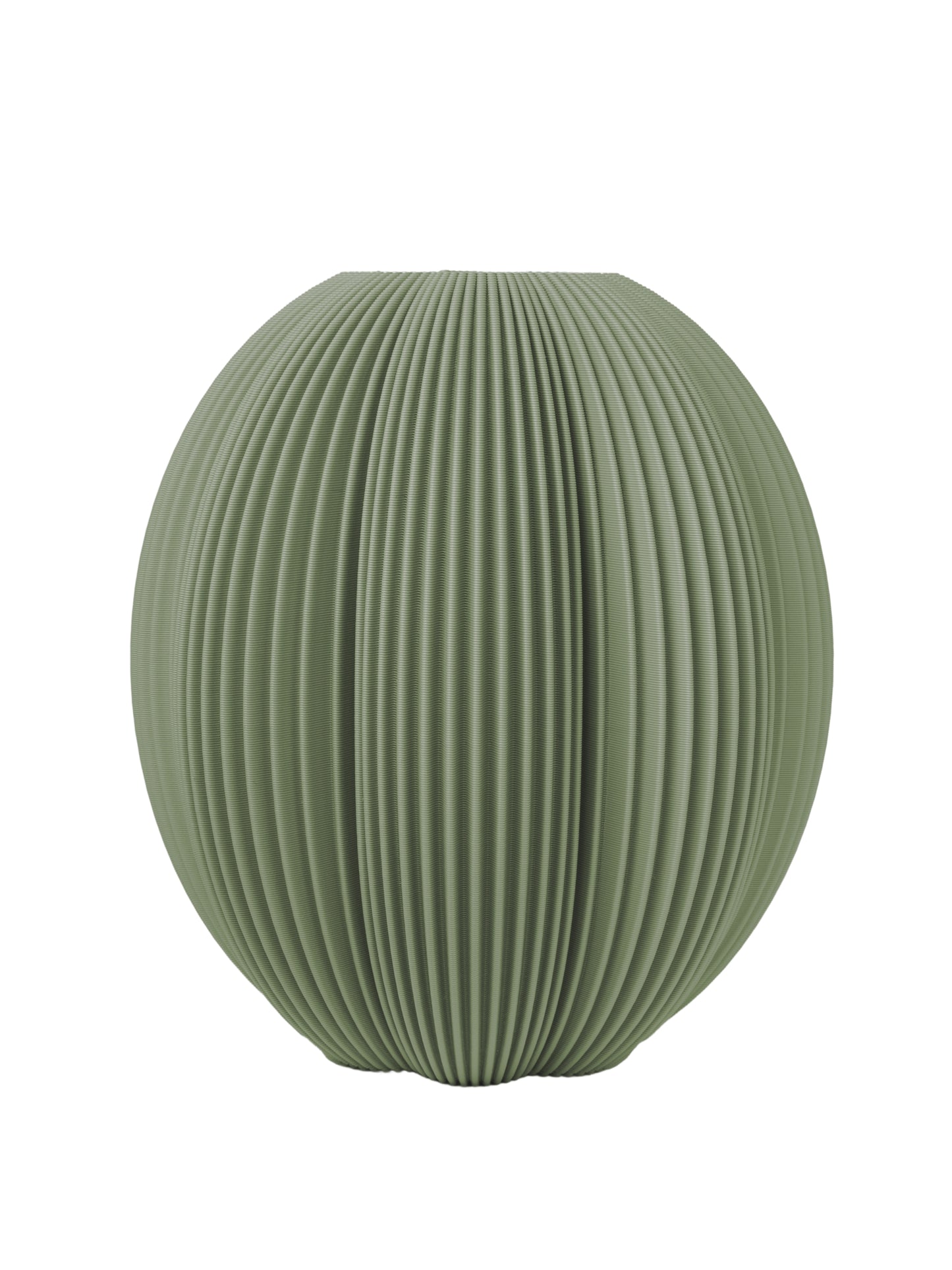 Cactus Vase