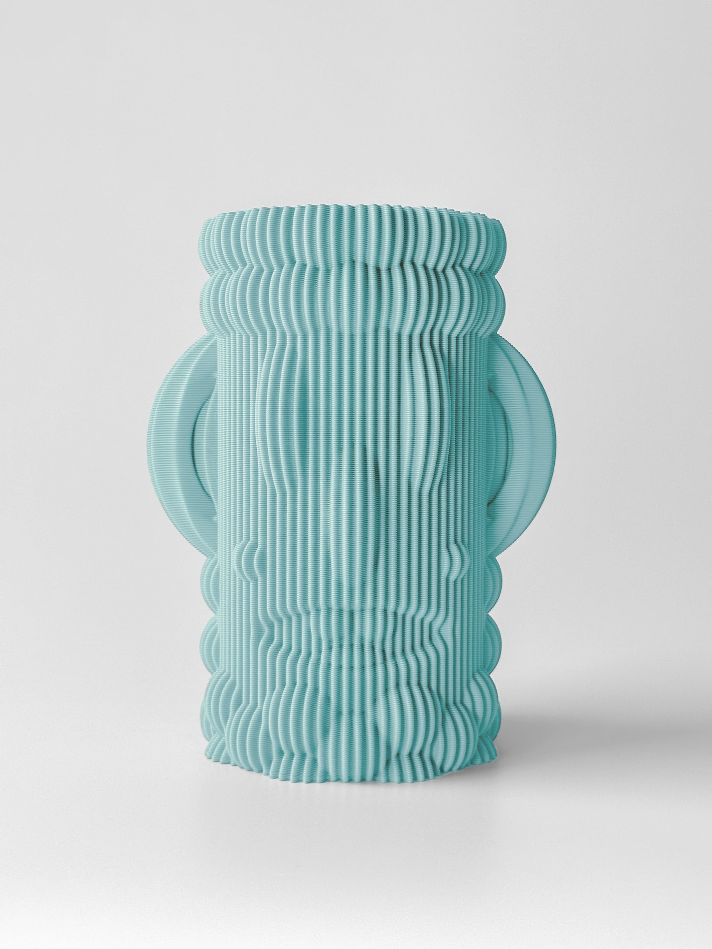 Two Faced Vase