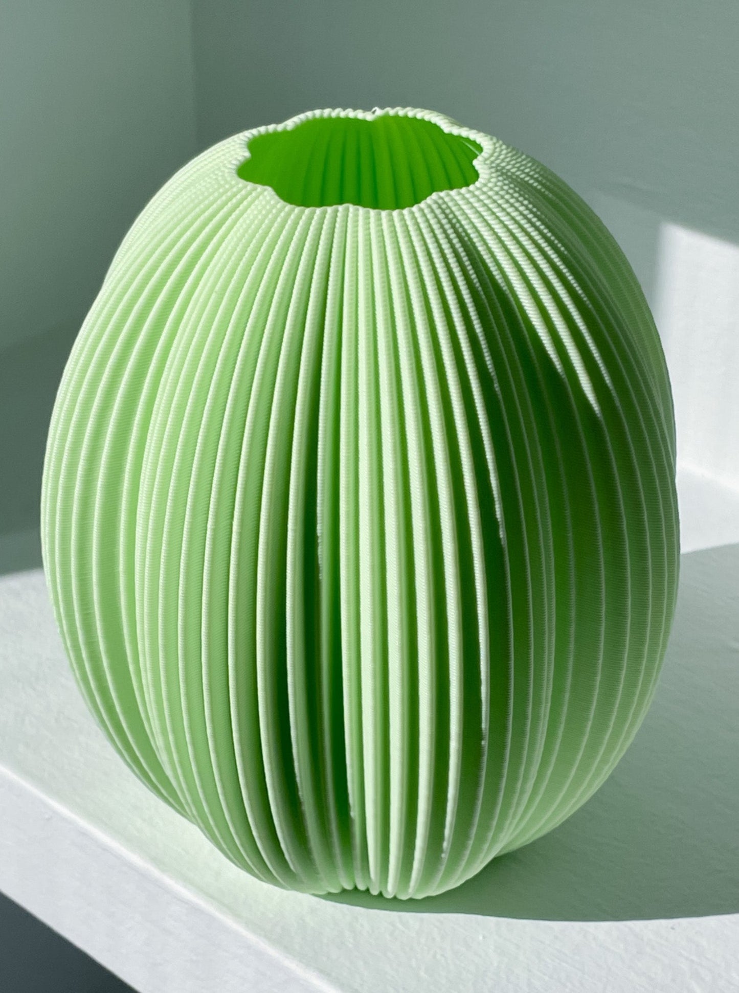 Cactus Vase