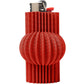 Jupiter Lighter Case