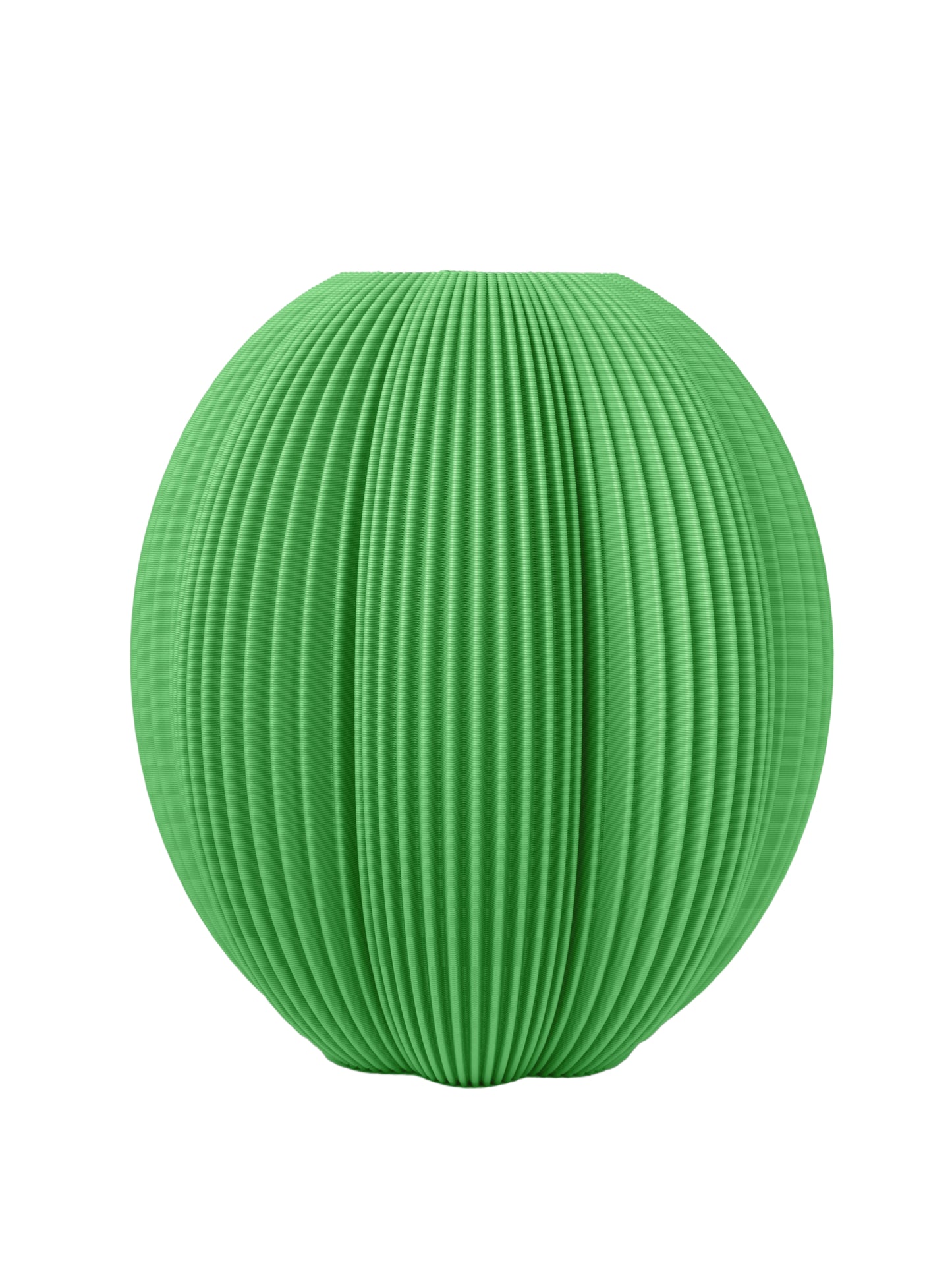 Cactus Vase