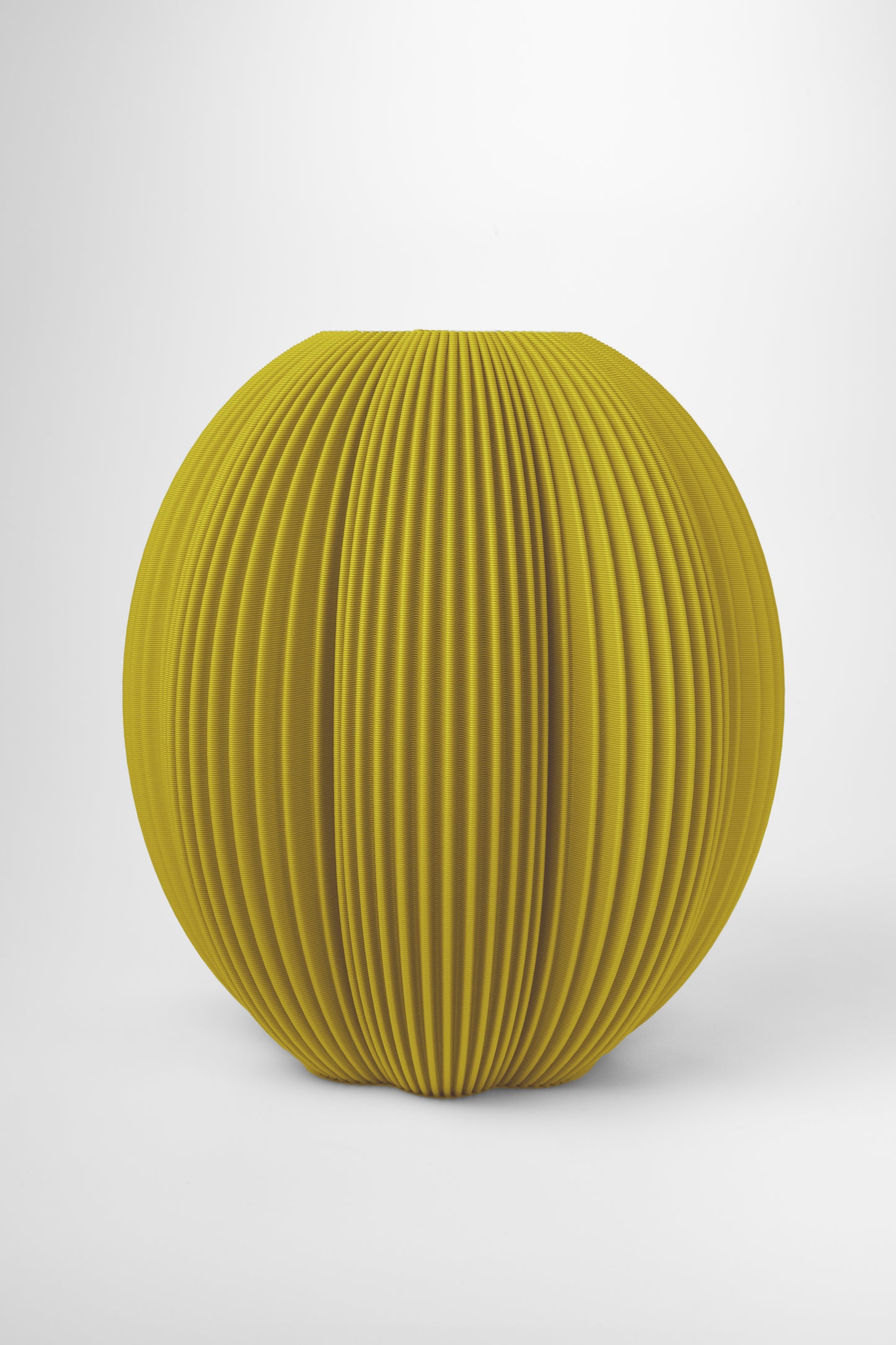 Cactus Vase