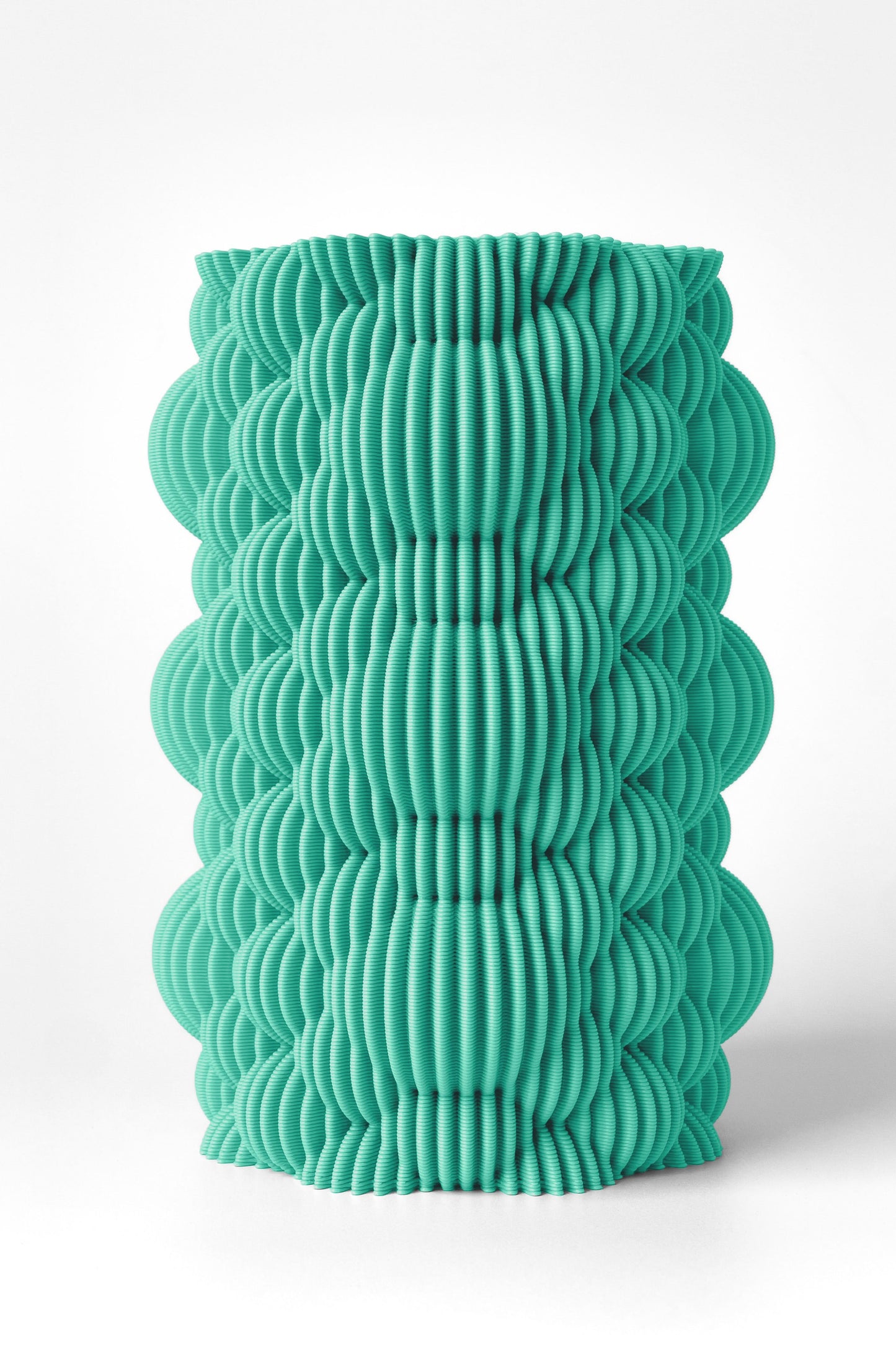 The Bubble Vase