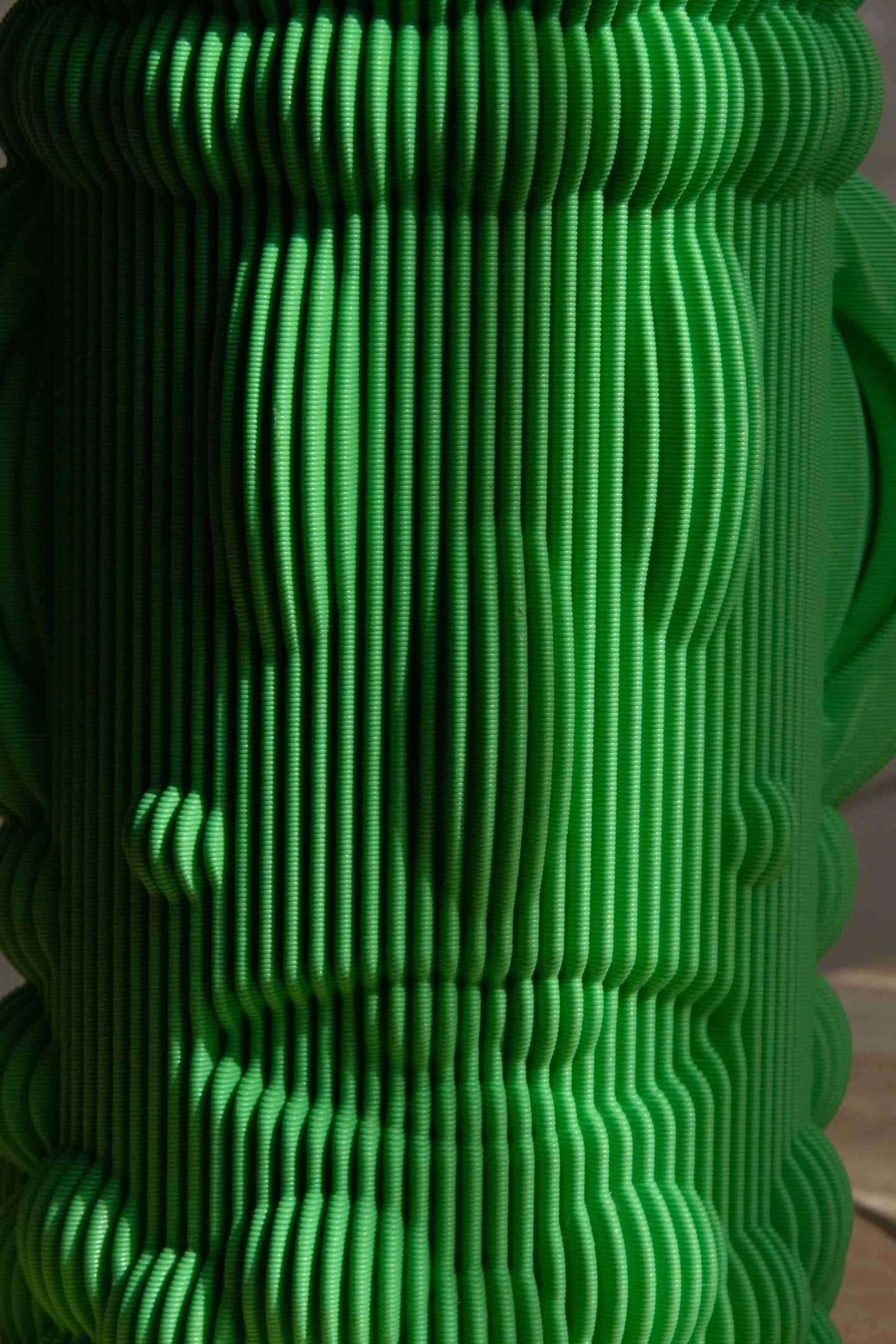 Two Faced Vase