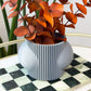 Gemini Stacking Cup